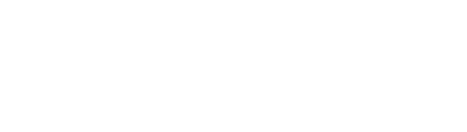 Find Love The Scent Logo